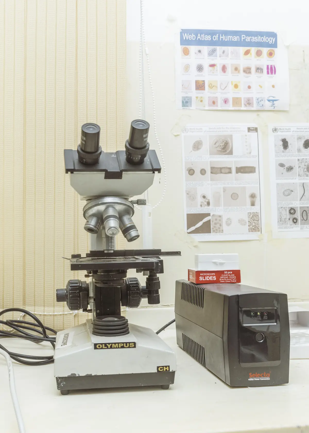Diagnostic laboratory at Oak Tree Medical Services, Cape Coast